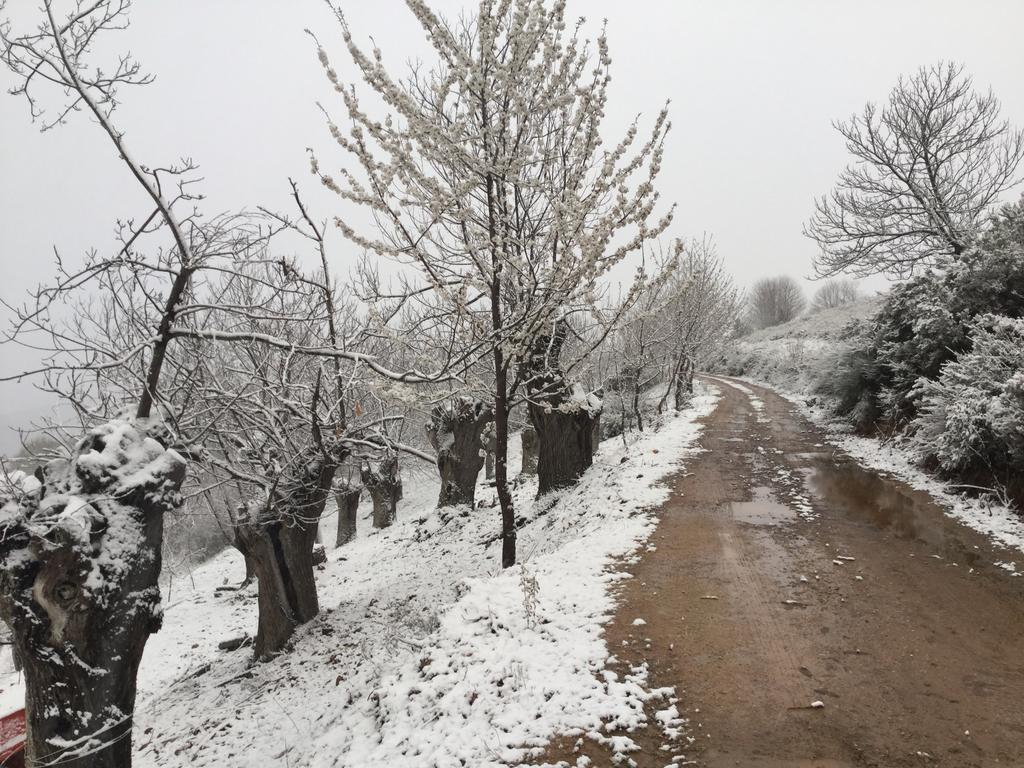 Orellán Hotel Rural El Lagar De Las Medulas מראה חיצוני תמונה